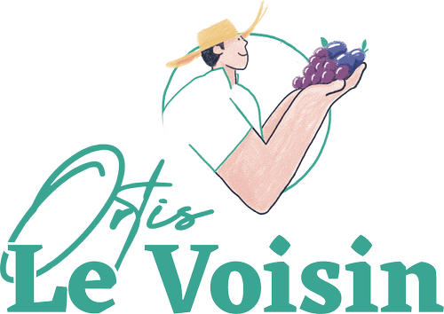 Ortis Le Voisin