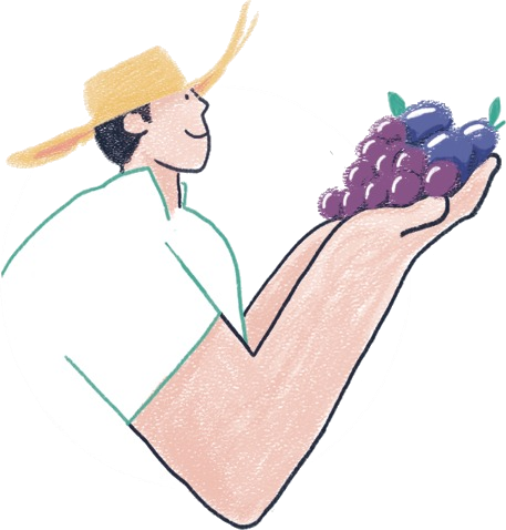 Logo Ortis Le Voisin, domaine viticole et vergers a Savignac-de-Duras